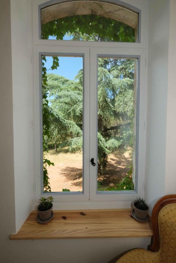 Villa Des Antiquaires Bédarieux Kültér fotó